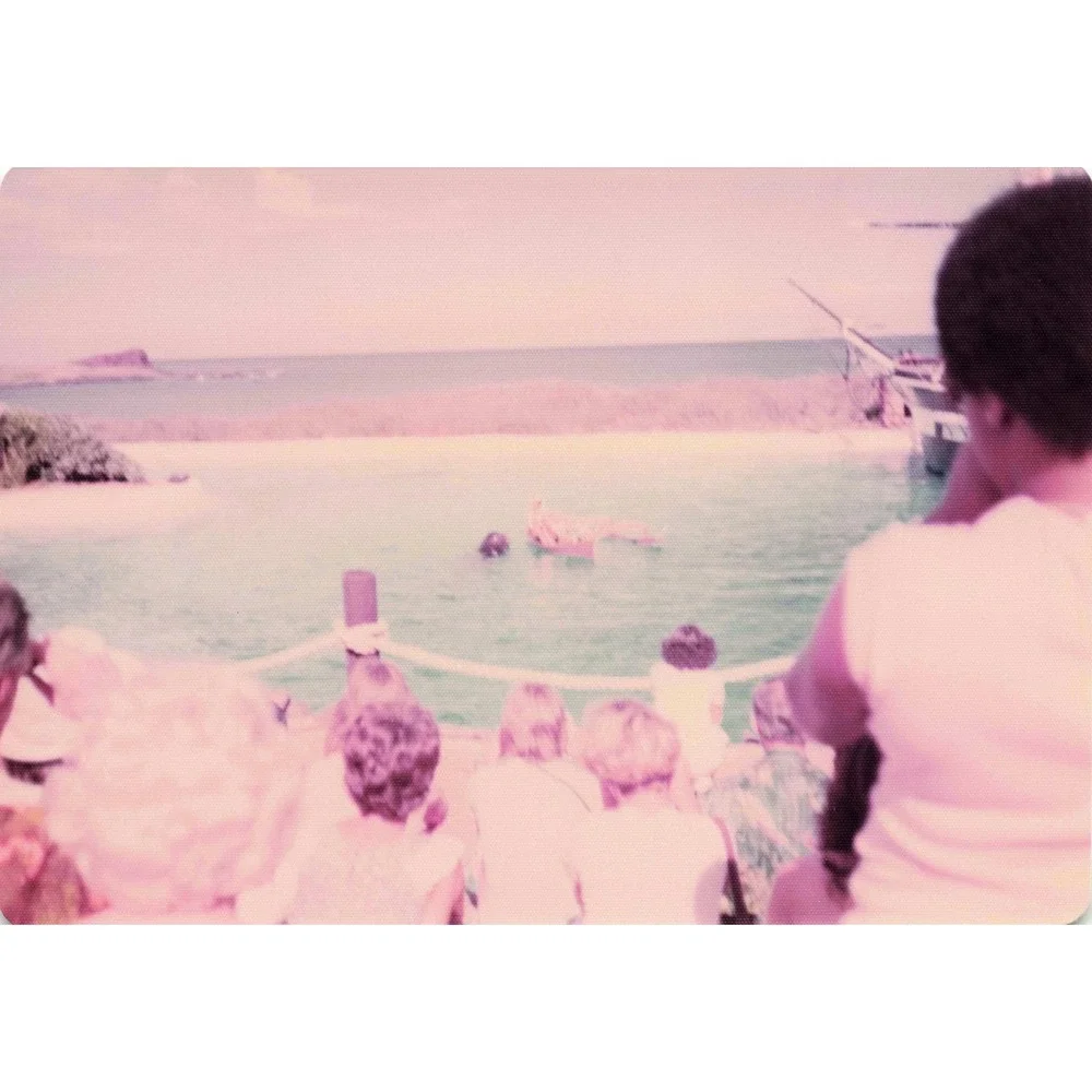 Vintage 1970s Sea Life Park Hawaii Dolphin Show Tall Ship Photo Lot of 17 - Picture 9 of 16